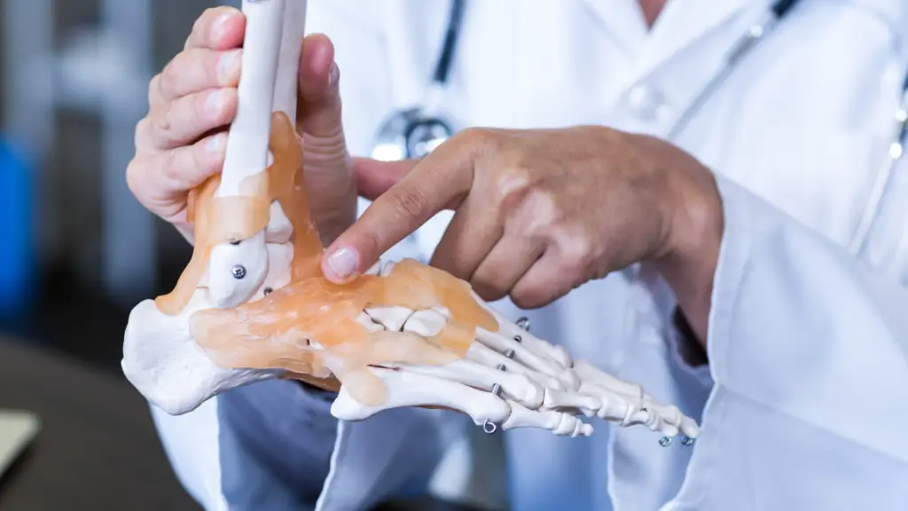 Ankle being supported while assessing instability after a sprain that has not settled